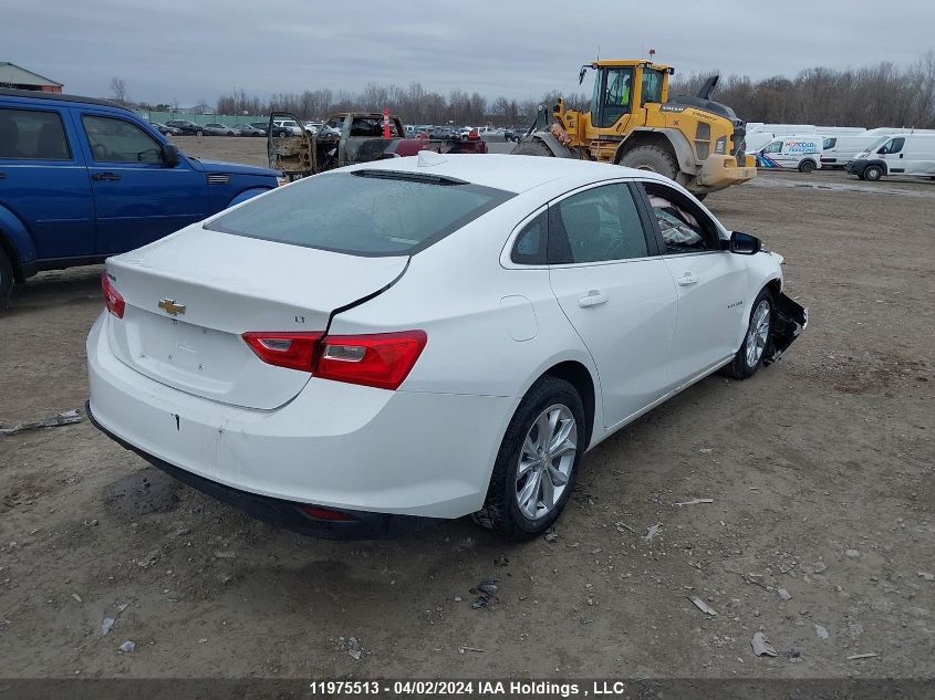 2023 Chevrolet Malibu VIN: 1G1ZD5ST6PF203703 Lot: 11975513