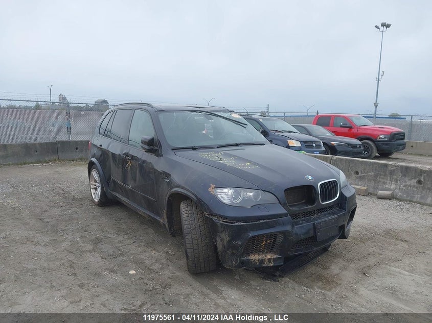 5YMGY0C53BLK26542 2011 BMW X5 M auction photo 1