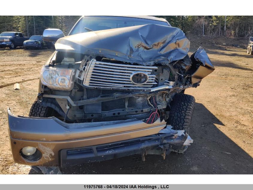 2010 Toyota Tundra Double Cab Limited VIN: 5TFBW5F11AX101769 Lot: 11975768