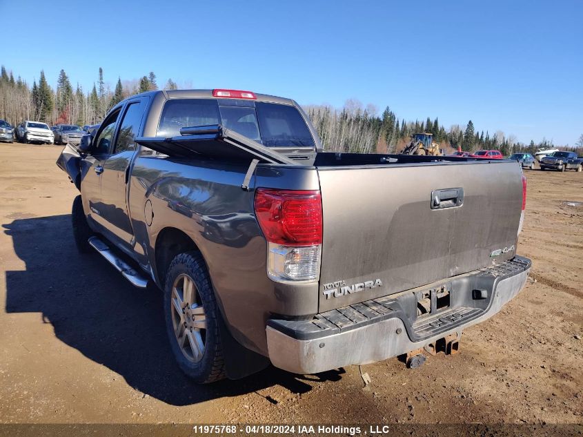2010 Toyota Tundra Double Cab Limited VIN: 5TFBW5F11AX101769 Lot: 11975768