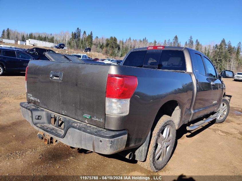 2010 Toyota Tundra Double Cab Limited VIN: 5TFBW5F11AX101769 Lot: 11975768
