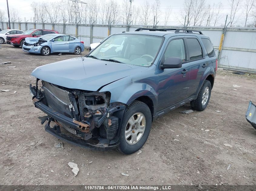 2010 Ford Escape Xlt VIN: 1FMCU0D71AKC40362 Lot: 50108624