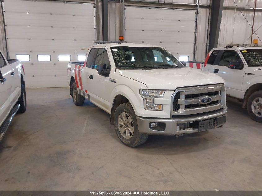 2015 Ford F-150 Xlt VIN: 1FTFX1EF1FKD22815 Lot: 11975896