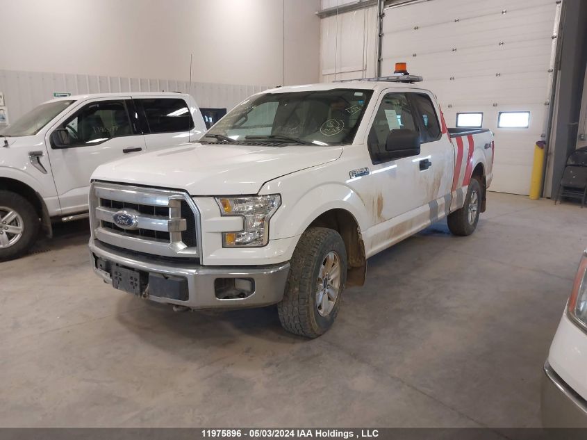 2015 Ford F-150 Xlt VIN: 1FTFX1EF1FKD22815 Lot: 11975896