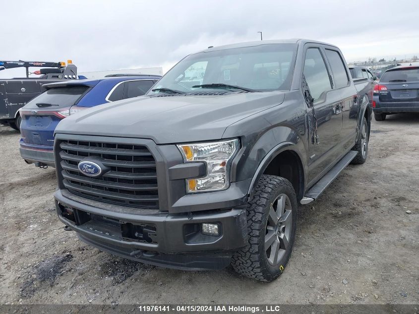 2016 Ford F-150 Xlt VIN: 1FTEW1EG8GKD48420 Lot: 39240946