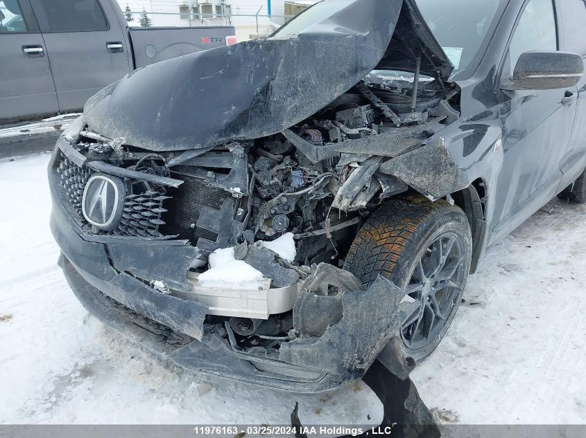 2022 Acura Rdx VIN: 5J8TC2H81NL800839 Lot: 11976163