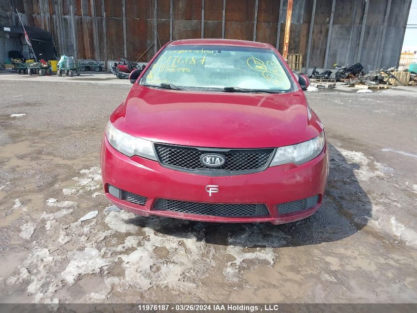 2010 Kia Forte VIN: KNAFT4A28A5233795 Lot: 11976187