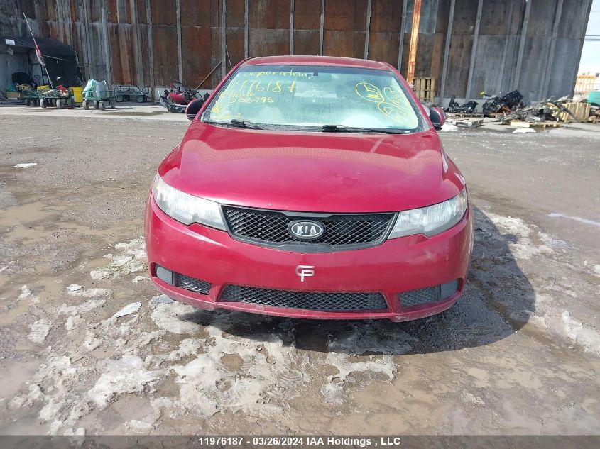 2010 Kia Forte VIN: KNAFT4A28A5233795 Lot: 43673604