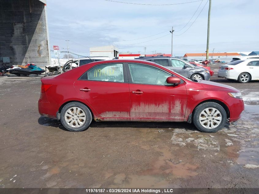 2010 Kia Forte VIN: KNAFT4A28A5233795 Lot: 11976187