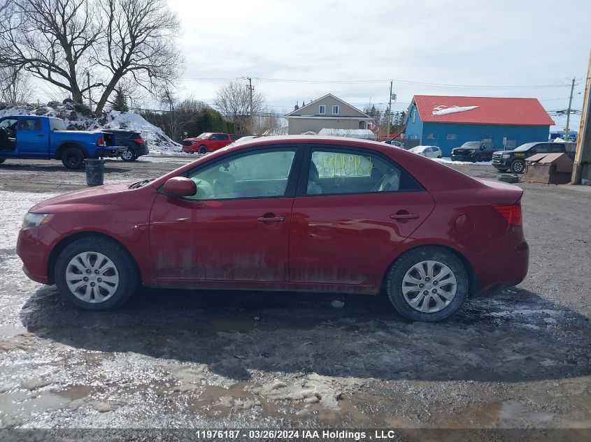 2010 Kia Forte VIN: KNAFT4A28A5233795 Lot: 43673604