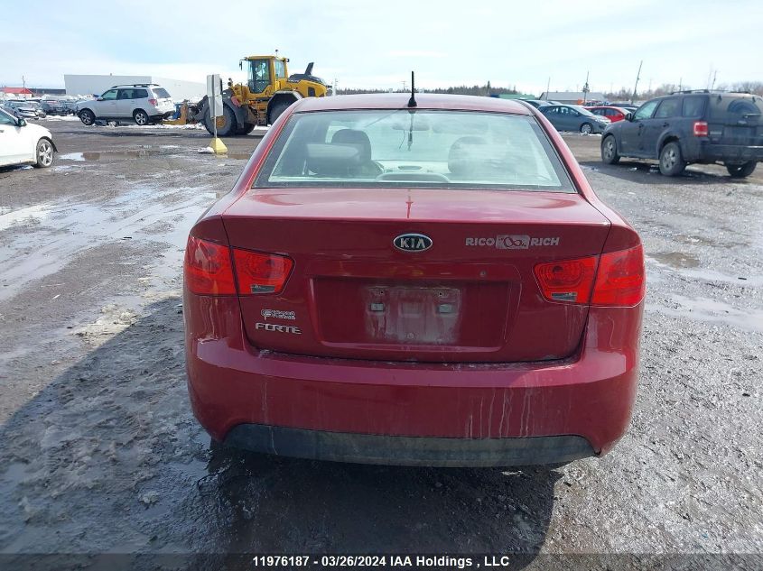 2010 Kia Forte VIN: KNAFT4A28A5233795 Lot: 43673604