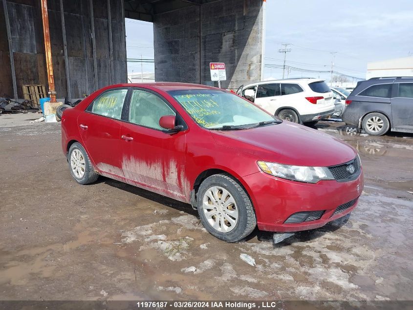 2010 Kia Forte VIN: KNAFT4A28A5233795 Lot: 11976187