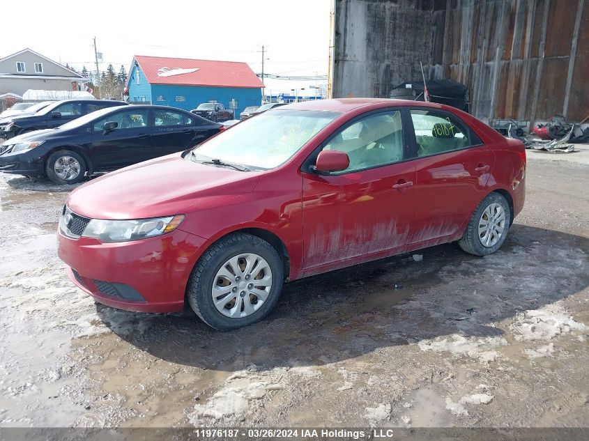 2010 Kia Forte VIN: KNAFT4A28A5233795 Lot: 11976187
