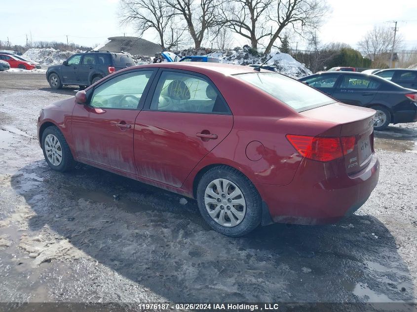 2010 Kia Forte VIN: KNAFT4A28A5233795 Lot: 11976187