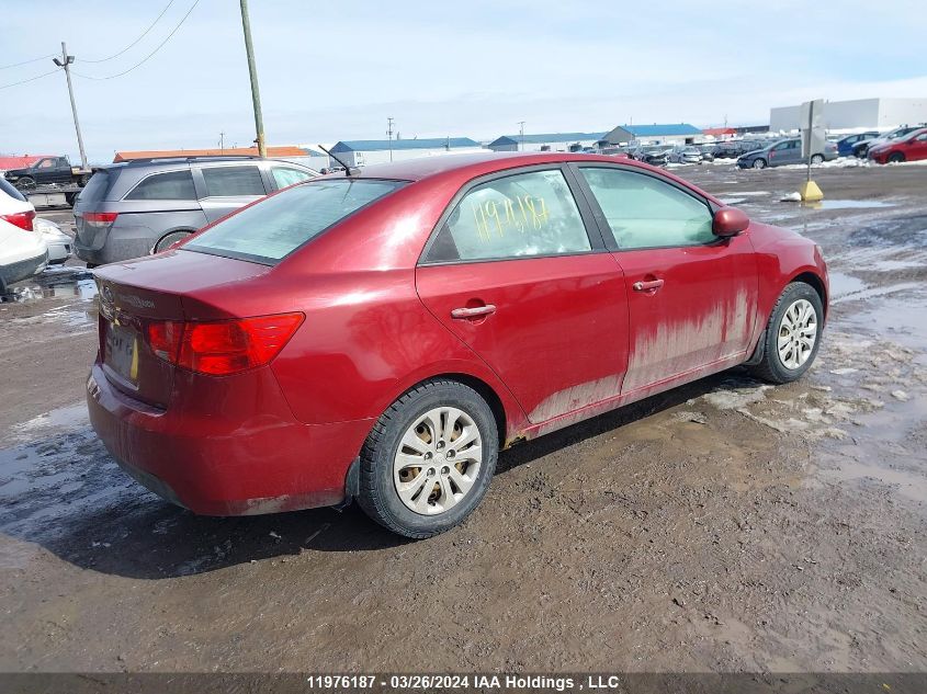 2010 Kia Forte VIN: KNAFT4A28A5233795 Lot: 11976187