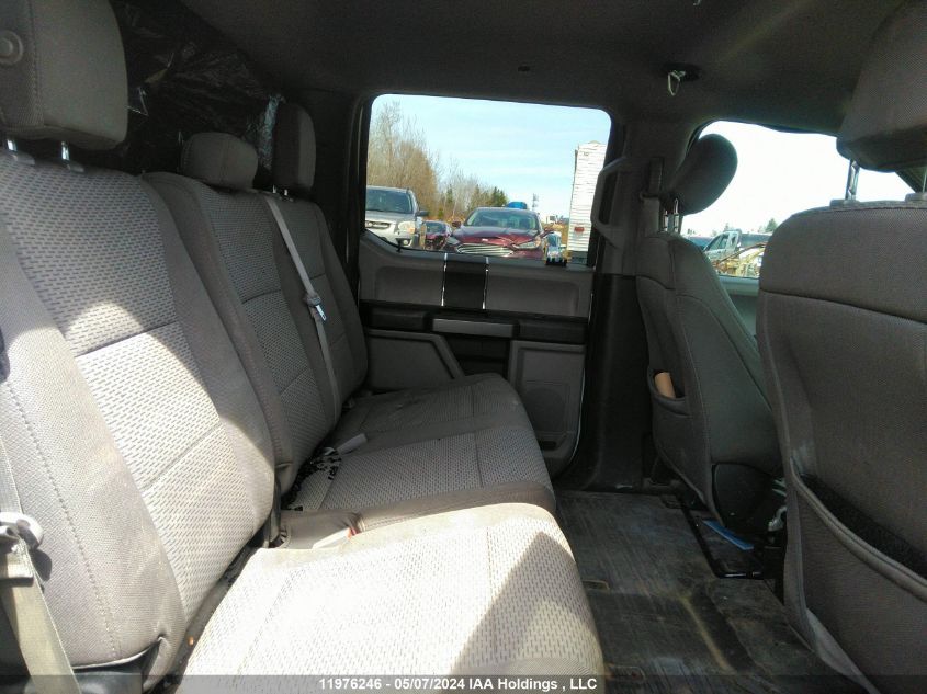 2019 Ford F-150 Xlt VIN: 1FTFW1E59KFD19948 Lot: 11976246