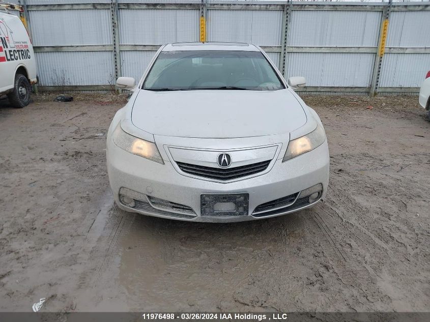 2012 Acura Tl VIN: 19UUA8F57CA801623 Lot: 11976498