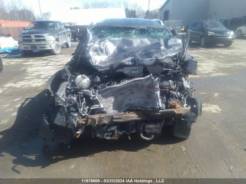 2019 Kia Sportage VIN: KNDPNCAC3K7522884 Lot: 11976609
