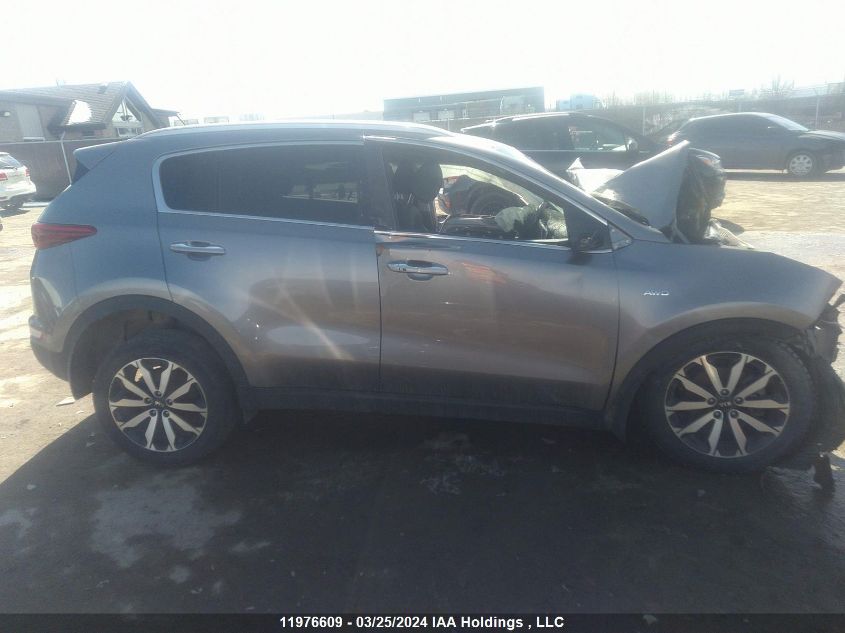 2019 Kia Sportage VIN: KNDPNCAC3K7522884 Lot: 11976609