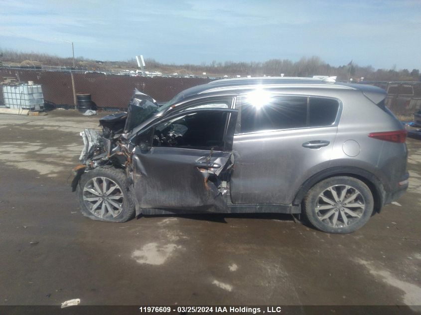 2019 Kia Sportage VIN: KNDPNCAC3K7522884 Lot: 11976609