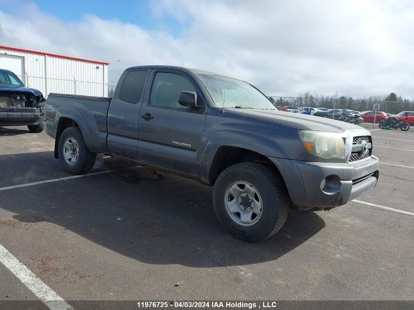 2011 Toyota Tacoma Base V6 VIN: 5TFUU4ENXBX019134 Lot: 11976725