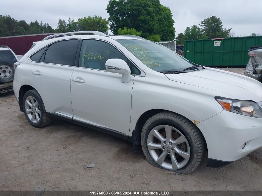 2010 Lexus Rx 350 VIN: 2T2BK1BA0AC043982 Lot: 11976860