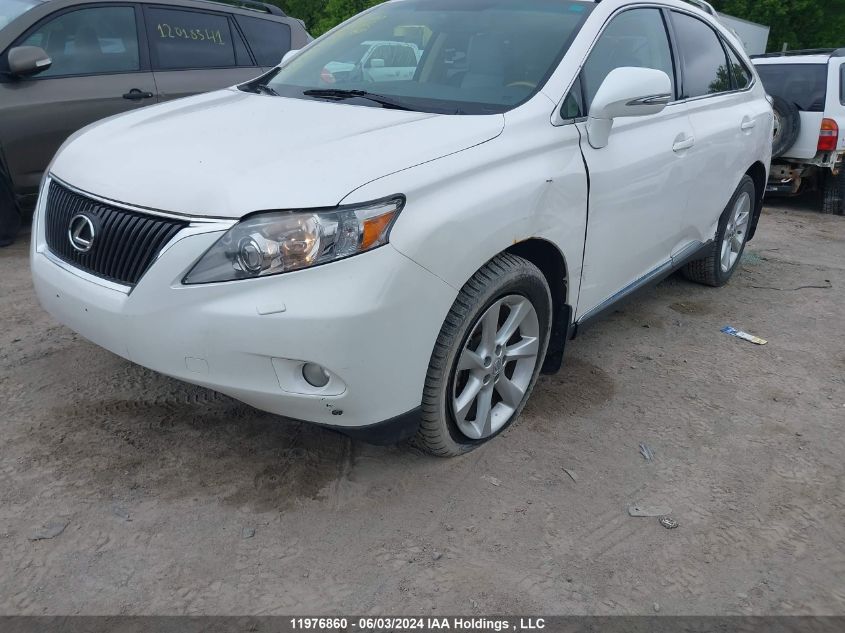 2010 Lexus Rx 350 VIN: 2T2BK1BA0AC043982 Lot: 11976860