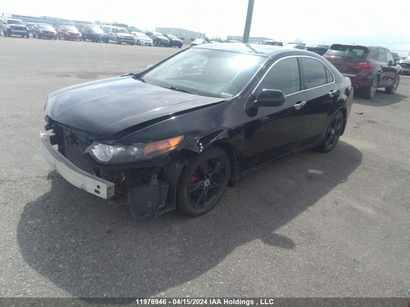 2010 Acura Tsx VIN: JH4CU2F52AC801060 Lot: 11976946