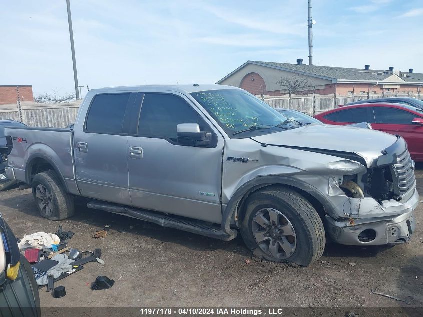 2011 Ford F150 Supercrew VIN: 1FTFW1ET0BFB79495 Lot: 11977178