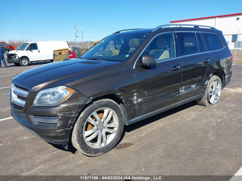 2013 Mercedes-Benz Gl-Class VIN: 4JGDF2EE0DA205006 Lot: 11977186