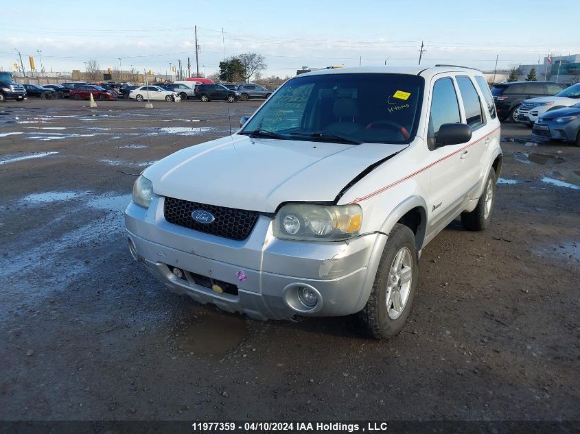 2006 Ford Escape Hybrid VIN: 1FMYU95H26KD37322 Lot: 11977359