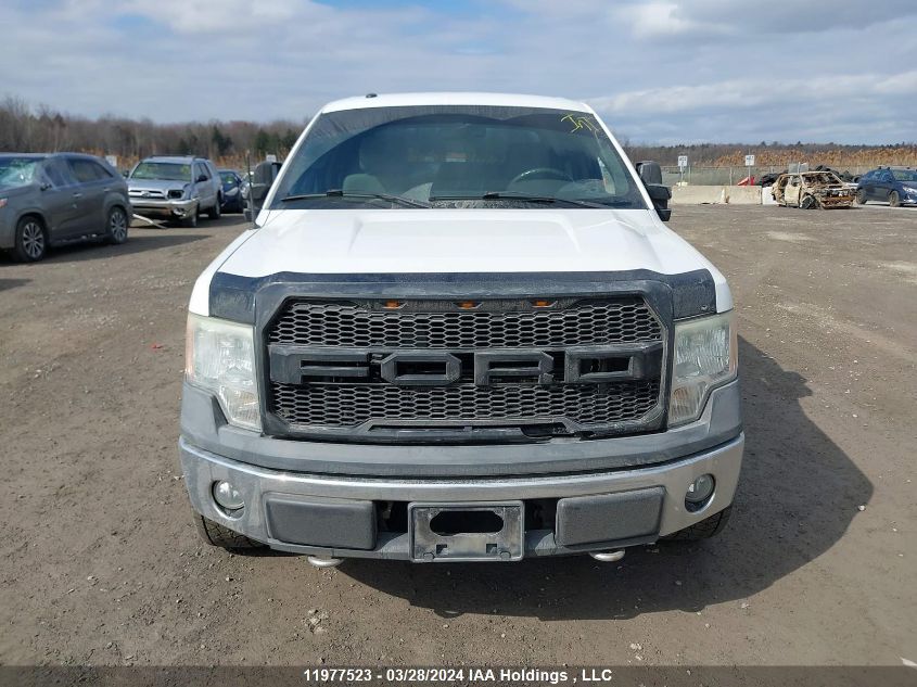 2010 Ford F150 Supercrew VIN: 1FTFW1EV5AFA46523 Lot: 39148752