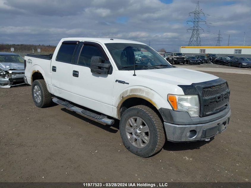 2010 Ford F150 Supercrew VIN: 1FTFW1EV5AFA46523 Lot: 39148752