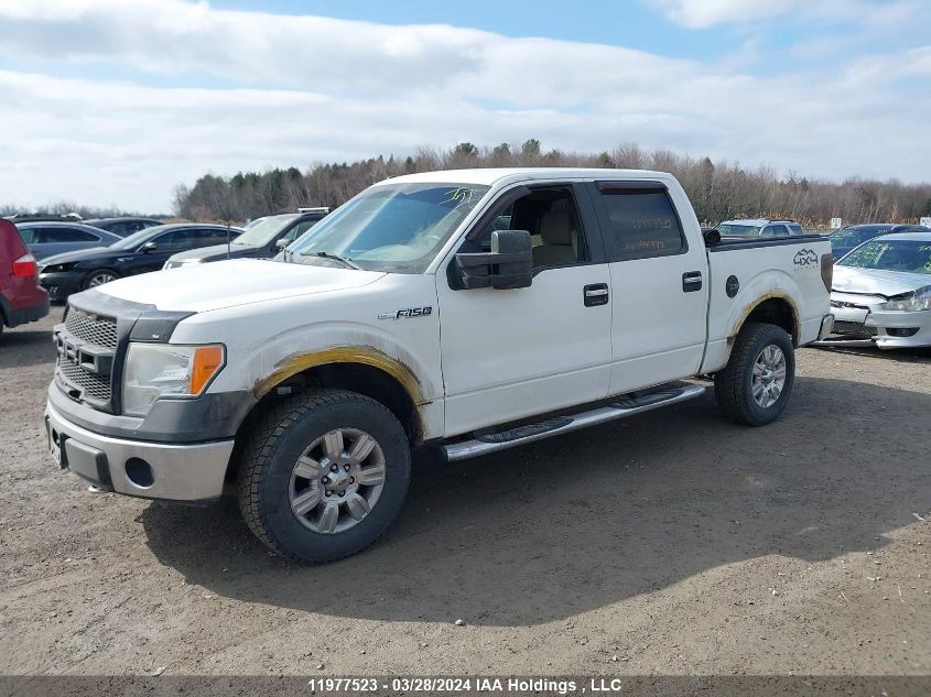 2010 Ford F150 Supercrew VIN: 1FTFW1EV5AFA46523 Lot: 39148752