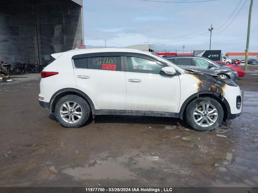 2017 Kia Sportage VIN: KNDPN3AC3H7125832 Lot: 11977700