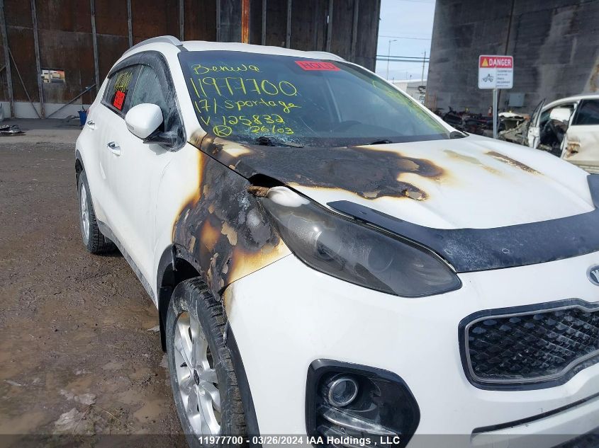 2017 Kia Sportage VIN: KNDPN3AC3H7125832 Lot: 11977700