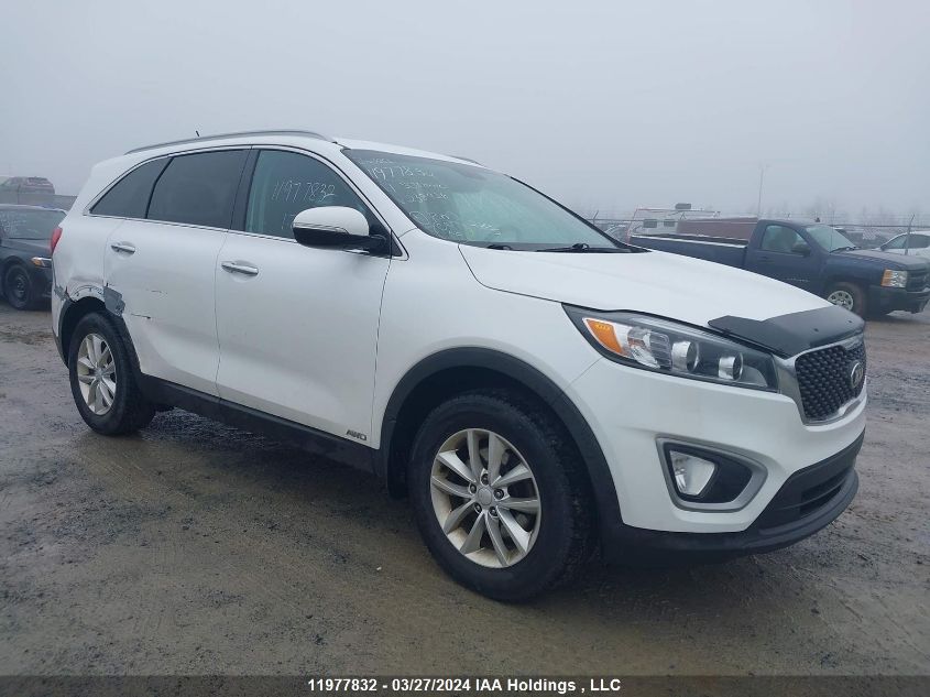 2017 Kia Sorento VIN: 5XYPGDA35HG238426 Lot: 11977832