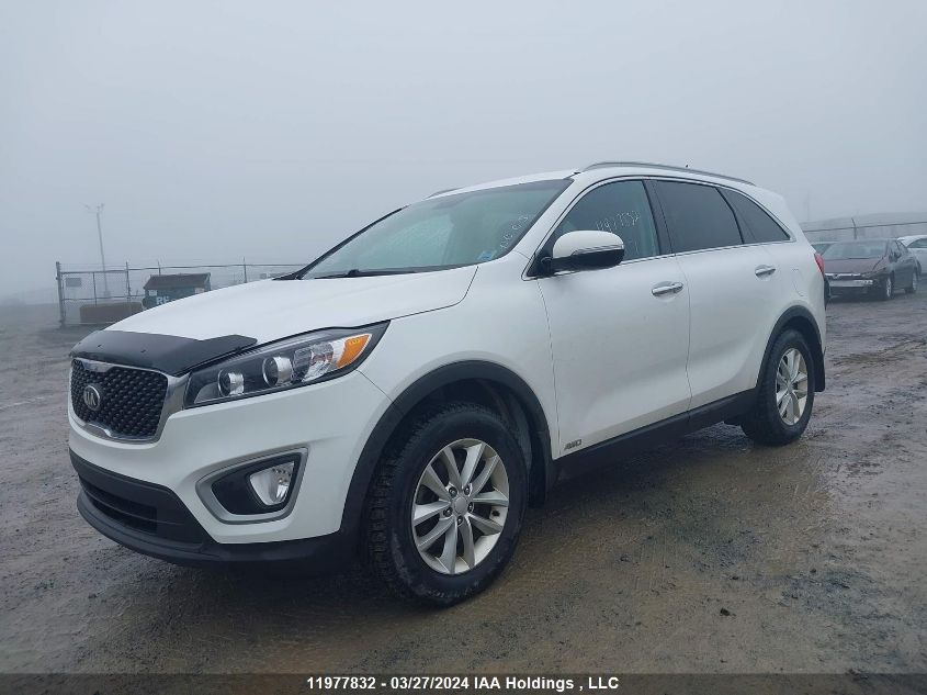 2017 Kia Sorento VIN: 5XYPGDA35HG238426 Lot: 11977832