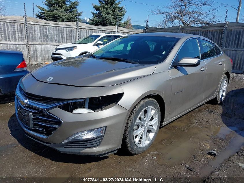 2022 Chevrolet Malibu Lt VIN: 1G1ZD5ST3NF169510 Lot: 11977841