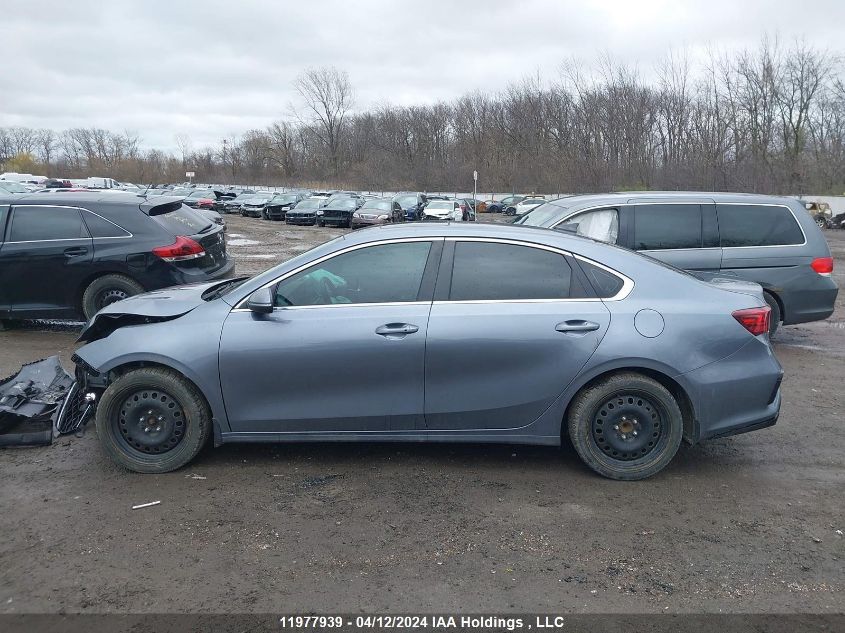 2020 Kia Forte VIN: 3KPF54AD9LE203310 Lot: 11977939