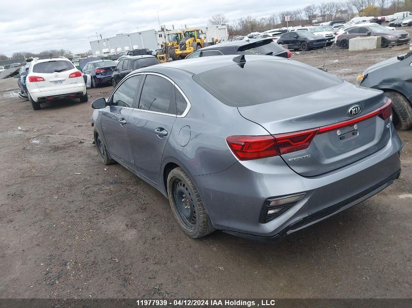 2020 Kia Forte VIN: 3KPF54AD9LE203310 Lot: 11977939