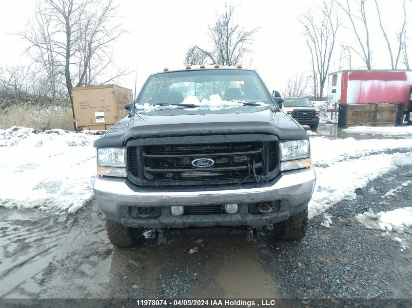 2003 Ford Super Duty F-250 VIN: 1FTNW21SX3EC19605 Lot: 11978074