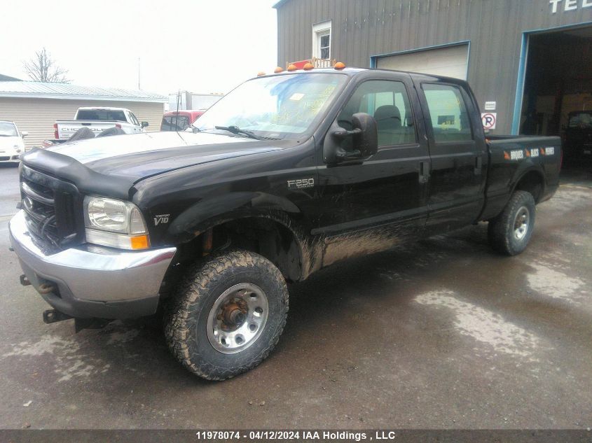 2003 Ford Super Duty F-250 VIN: 1FTNW21SX3EC19605 Lot: 11978074