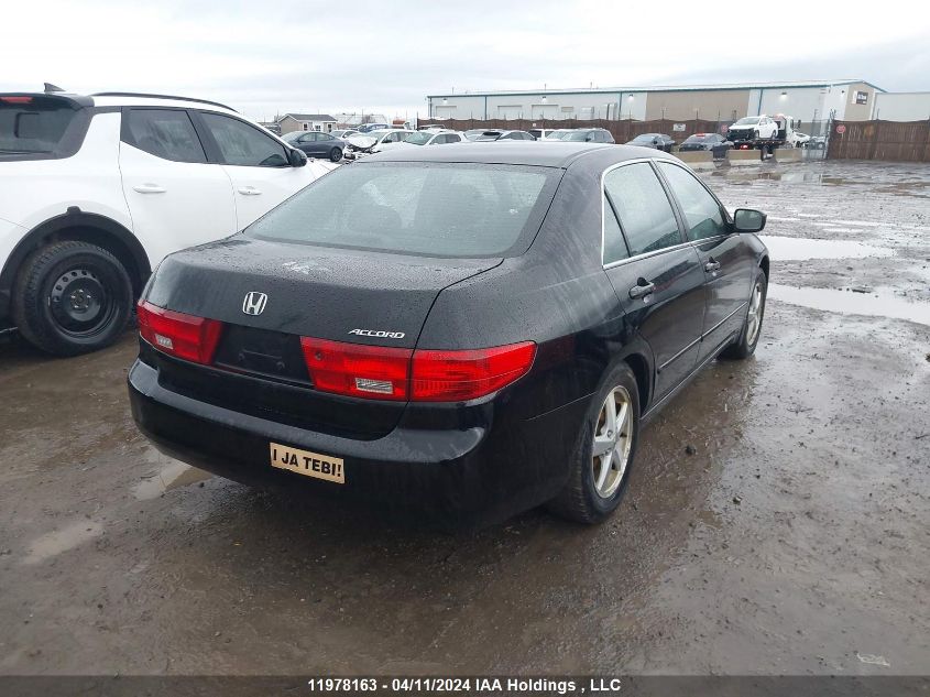 2005 Honda Accord Sdn VIN: 1HGCM55615A801390 Lot: 11978163