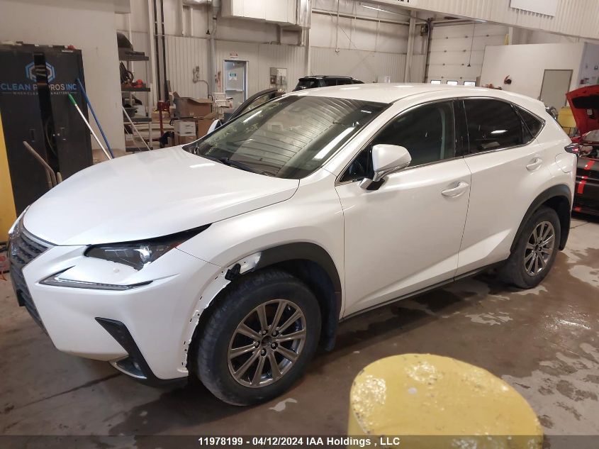 2018 Lexus Nx 300/Base/F Sport VIN: JTJBARBZ6J2175622 Lot: 11978199