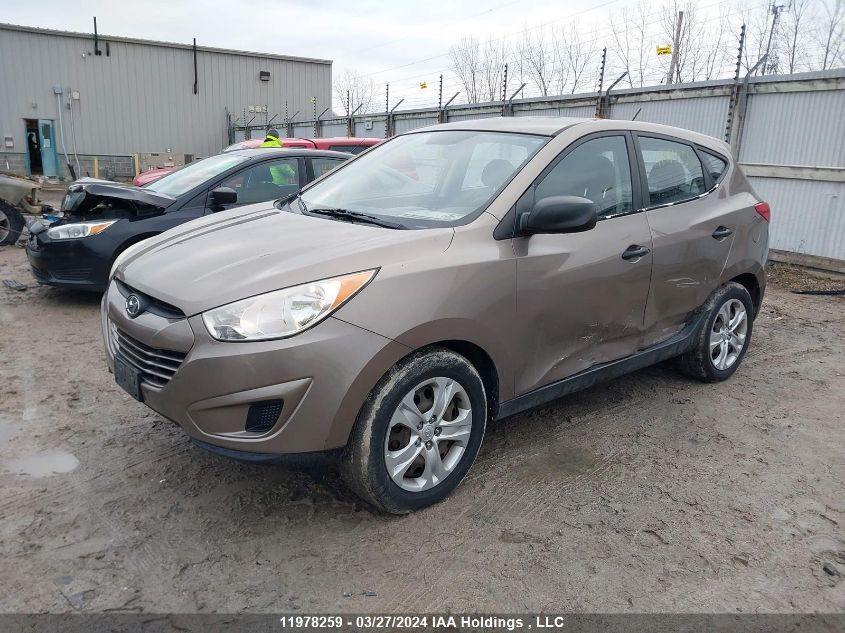 2010 Hyundai Tucson Gl VIN: KM8JT3AC3AU055926 Lot: 11978259