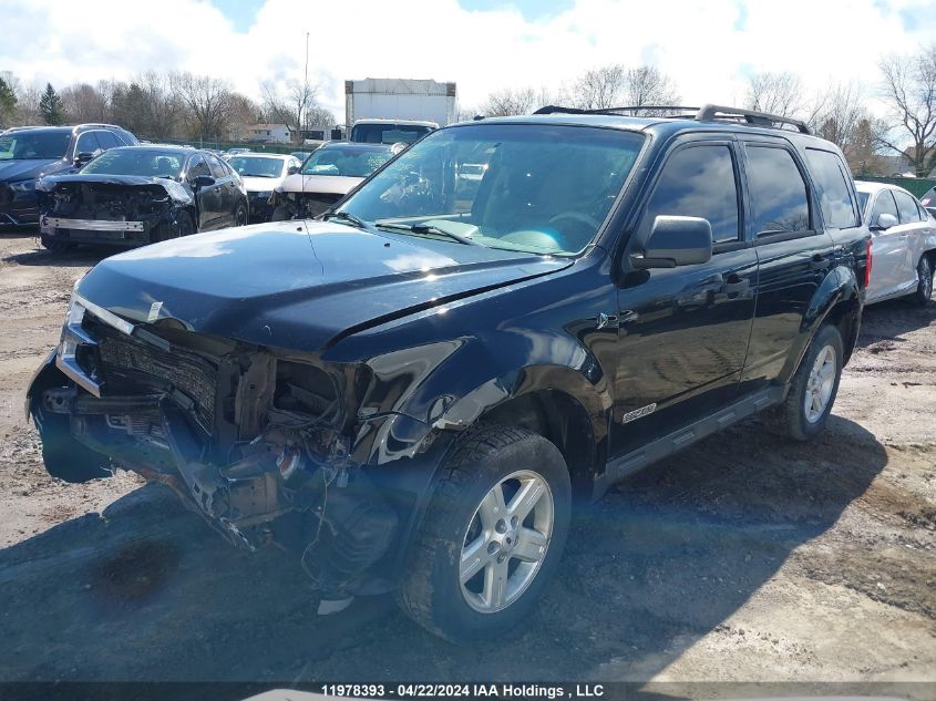 2008 Ford Escape Hev VIN: 1FMCU49H88KE68541 Lot: 11978393