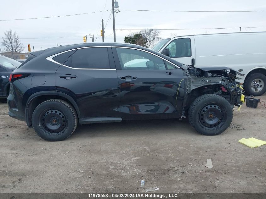 2023 Lexus Nx 450H+ VIN: JTJHKCFZ4P2017786 Lot: 11978558