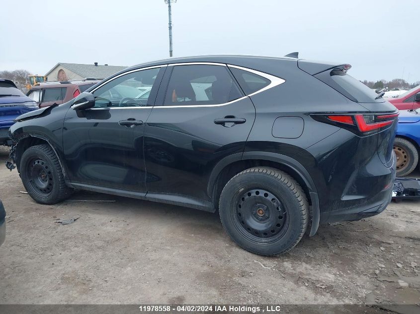 2023 Lexus Nx 450H+ VIN: JTJHKCFZ4P2017786 Lot: 11978558