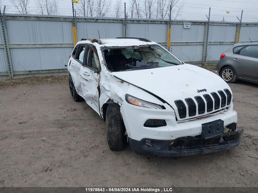 2017 Jeep Cherokee Limited VIN: 1C4PJMDS3HW561882 Lot: 11978643